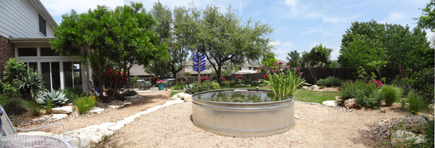 stock tank pond backyard